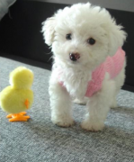 ����������ô��