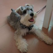 ������·������ô���أ���ͼ��