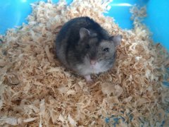 ��è��������ô�죿