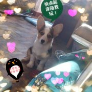 ������θ������������ô�죿��ͼ��