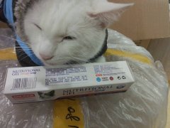 è��Ӫ�������