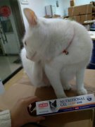 è��Ӫ�����ĸ���