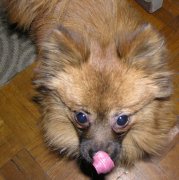 ����������Ӫ����