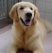 ��������Ҫ��Щʲô��ͼ��