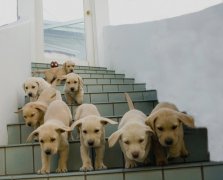 ��������Ȯ����û������ô�죿