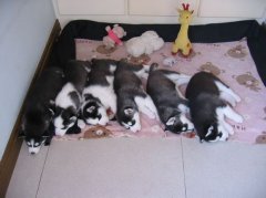 ���������ڼ��ʲô��