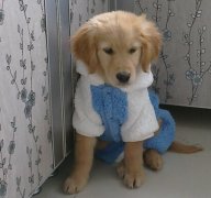 ��ë�Զ�������ô�죨ͼ��