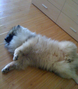 ���ﹷ��ʲô�ã�����Ӫ����ò��ã�