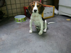 ������Ť������ô��