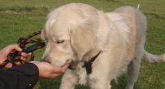 ���ﹷ��ȳ����ô��