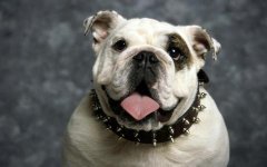 �������˴�Ⱦ����к��ô�죿��ͼ��