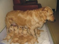 ����������ô��������ͼ��