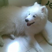 ׼�����еĹ�����ʲô��ͼ��