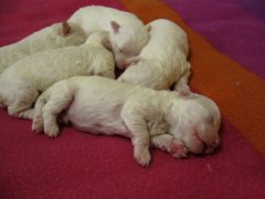 ����ʲôʱ�������ã���ͼ��