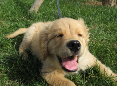 2���µĹ�����ʲô��