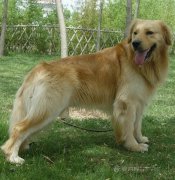 ��ë��Ȯιʲô�̷ۺã�