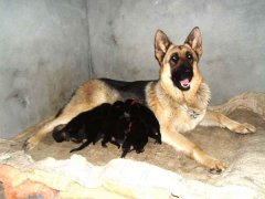 ����ǰ�¹�����Ȯ��ô��ι����