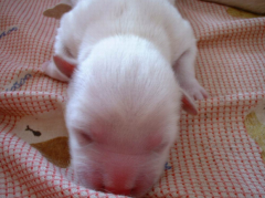 ��������ˣ��ó�ʲô��