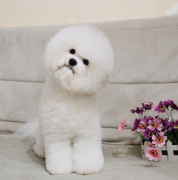 �����±��ܳ�ʲôӪ���ã�ͼ��