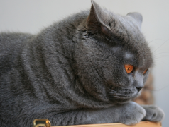 è�����ʲô��