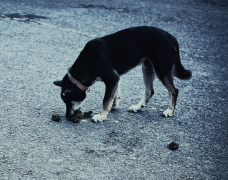 ����΢��Ԫ��Ƭ���ù����ĵ���ʺ�Ļ�ϰ��