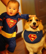 ̩�ϳ�ʲô�ã�