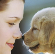 �����µĽ�ë���ι����