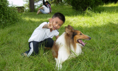 ���������̷���������ô�죿