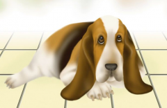 �������ʲô