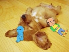 С̩��ιʲô�̷�