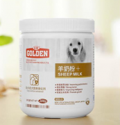 �����´�ı��ܳ�ʲô