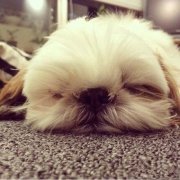 �����µ�������ʲô