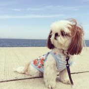 һ��̩����Ѫ