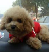 ̩��Ż��û����