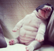 ��������·һȳһ��