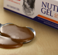 �ɿ�Ȯ��������ô��