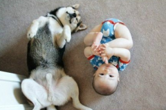 ̩�ϳ���������������