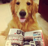 ��ʿ������