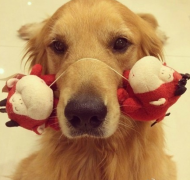 ̩����Ȯ�¹�����ϡ