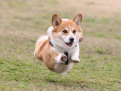 �»������ӳ�������������