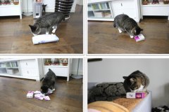 è�����������ֺã�