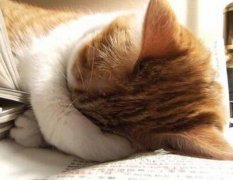 è��Ż�»�ˮ��ô��