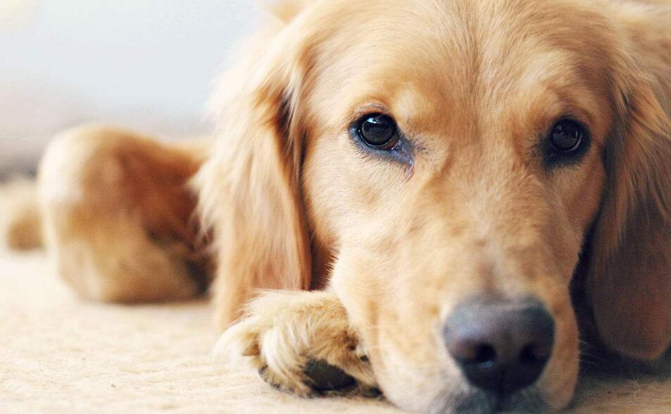 ����չ�����Ȯ��