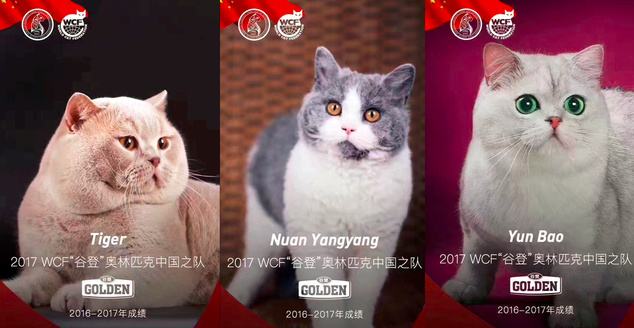 ��������èչ2018������Ļ��һ��Ϊ��