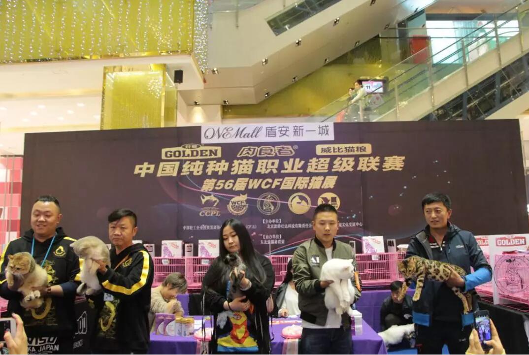 �ȵǻ||��56��WCF����èչ����վ