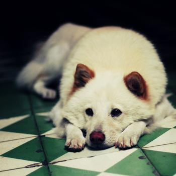 Ϊʲô������θ����Ҫ�Գ�θ�����ȵǳ�θ��