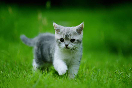 �����¹����ȵ� �캽�й�����Ӫ������